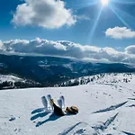 Gorska Energia Dom Dla 12 Osob Z Sauna I Jacuzzi * Szczyrk