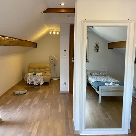 Gorska Energia Dom Dla 12 Osob Z Sauna I Jacuzzi