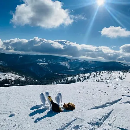 Gorska Energia Dom Dla 12 Osob Z Sauna I Jacuzzi * Szczyrk