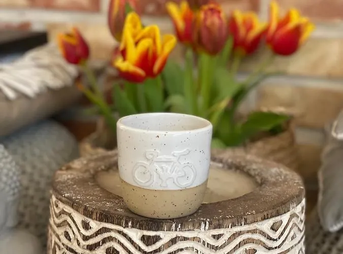 Villa Gorska Energia Dom Dla 12 Osob Z Sauna I Jacuzzi