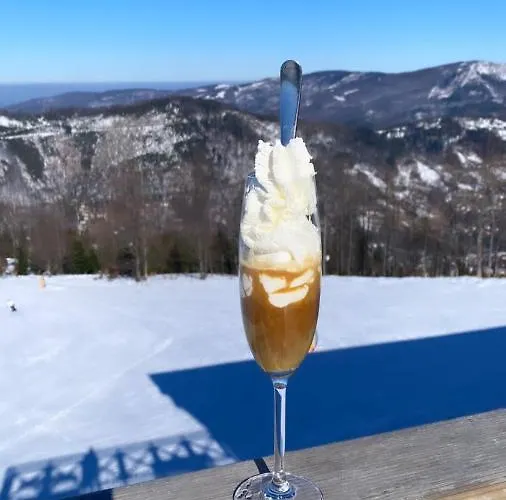 Gorska Energia Dom Dla 12 Osob Z Sauna I Jacuzzi * Szczyrk