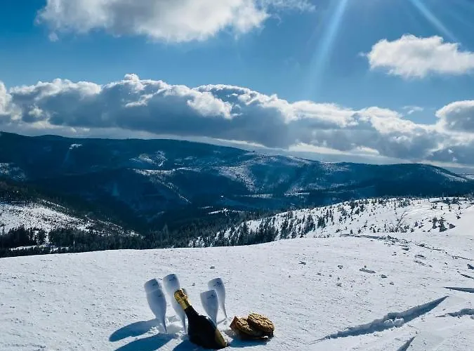 Gorska Energia Dom Dla 12 Osob Z Sauna I Jacuzzi * Szczyrk