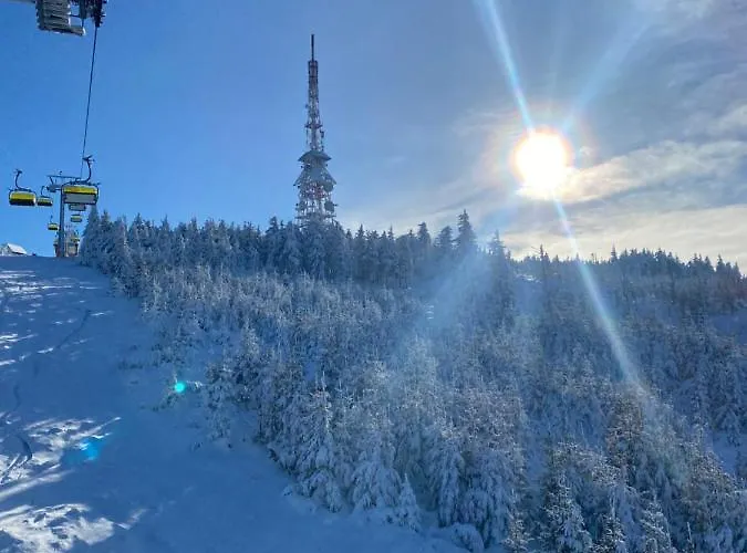 Vila Gorska Energia Dom Dla 12 Osob Z Sauna I Jacuzzi