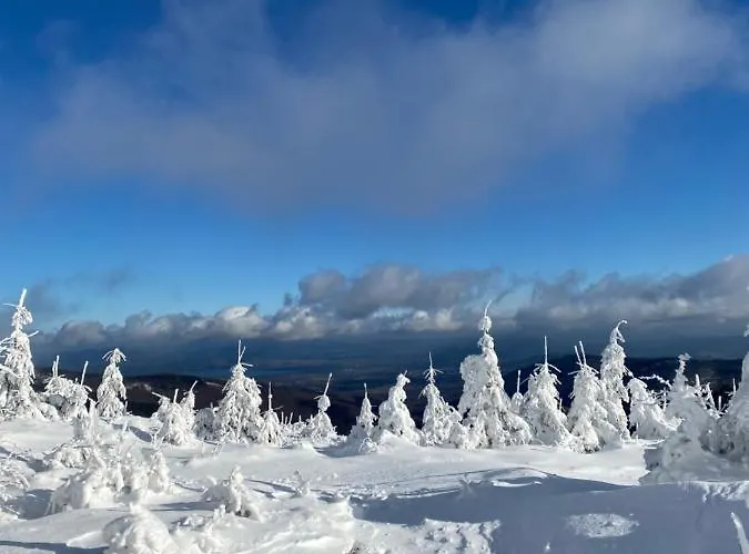 Villa Gorska Energia Dom Dla 12 Osob Z Sauna I Jacuzzi